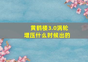 黄鹤楼3.0涡轮增压什么时候出的