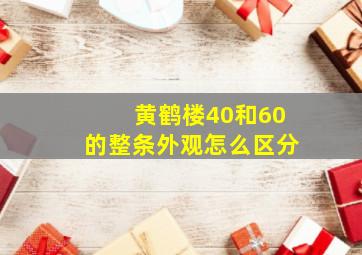 黄鹤楼40和60的整条外观怎么区分