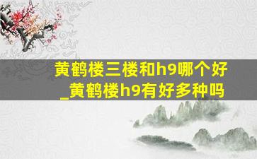 黄鹤楼三楼和h9哪个好_黄鹤楼h9有好多种吗