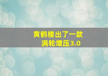 黄鹤楼出了一款涡轮增压3.0