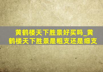 黄鹤楼天下胜景好买吗_黄鹤楼天下胜景是粗支还是细支