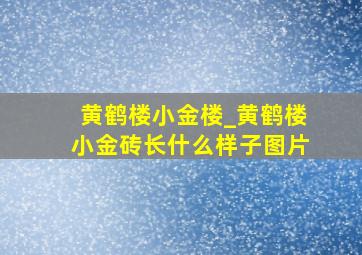 黄鹤楼小金楼_黄鹤楼小金砖长什么样子图片