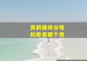 黄鹤楼峡谷情和奇景哪个贵