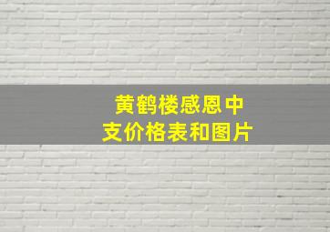 黄鹤楼感恩中支价格表和图片