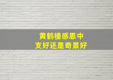 黄鹤楼感恩中支好还是奇景好