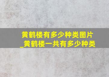 黄鹤楼有多少种类图片_黄鹤楼一共有多少种类