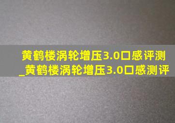 黄鹤楼涡轮增压3.0口感评测_黄鹤楼涡轮增压3.0口感测评