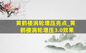 黄鹤楼涡轮增压亮点_黄鹤楼涡轮增压3.0效果