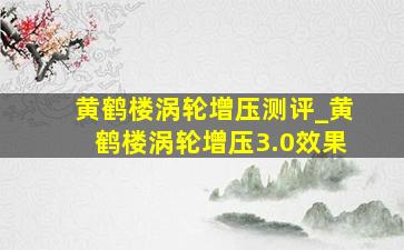 黄鹤楼涡轮增压测评_黄鹤楼涡轮增压3.0效果