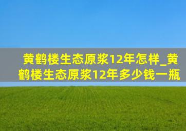 黄鹤楼生态原浆12年怎样_黄鹤楼生态原浆12年多少钱一瓶