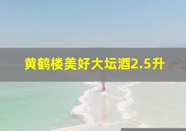 黄鹤楼美好大坛酒2.5升