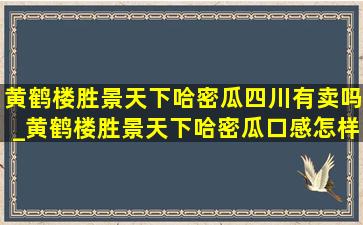 黄鹤楼胜景天下哈密瓜四川有卖吗_黄鹤楼胜景天下哈密瓜口感怎样