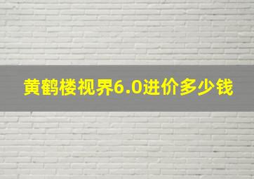 黄鹤楼视界6.0进价多少钱