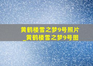 黄鹤楼雪之梦9号照片_黄鹤楼雪之梦9号图