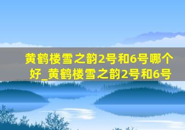 黄鹤楼雪之韵2号和6号哪个好_黄鹤楼雪之韵2号和6号