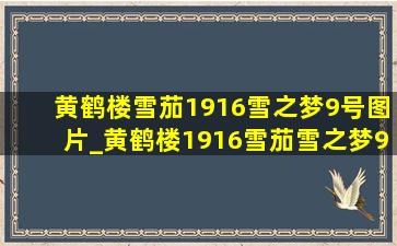 黄鹤楼雪茄1916雪之梦9号图片_黄鹤楼1916雪茄雪之梦9号什么价格