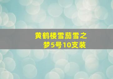 黄鹤楼雪茄雪之梦5号10支装