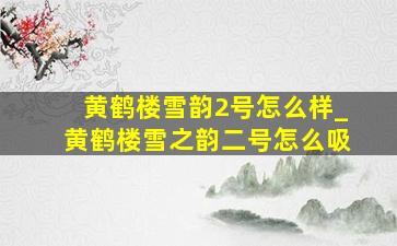 黄鹤楼雪韵2号怎么样_黄鹤楼雪之韵二号怎么吸