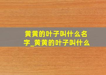 黄黄的叶子叫什么名字_黄黄的叶子叫什么