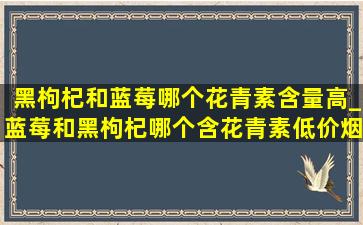 黑枸杞和蓝莓哪个花青素含量高_蓝莓和黑枸杞哪个含花青素(低价烟批发网)