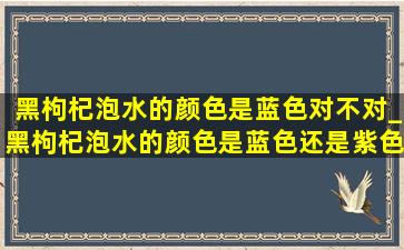 黑枸杞泡水的颜色是蓝色对不对_黑枸杞泡水的颜色是蓝色还是紫色