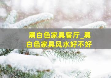 黑白色家具客厅_黑白色家具风水好不好