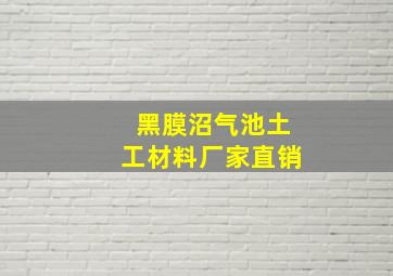 黑膜沼气池土工材料厂家直销