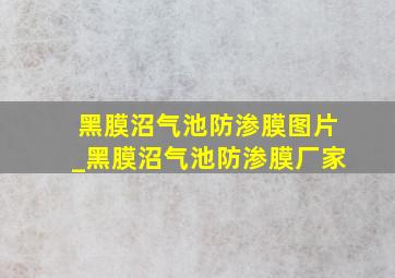 黑膜沼气池防渗膜图片_黑膜沼气池防渗膜厂家