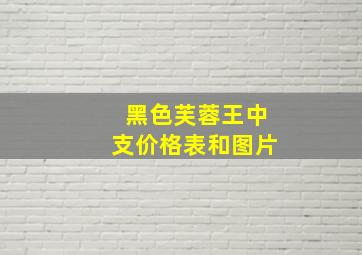 黑色芙蓉王中支价格表和图片