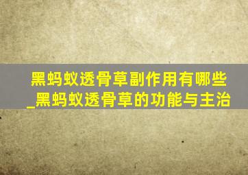 黑蚂蚁透骨草副作用有哪些_黑蚂蚁透骨草的功能与主治