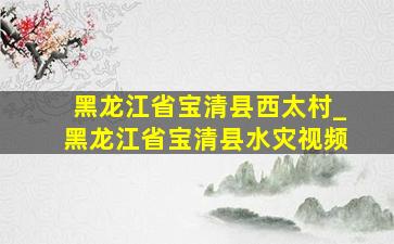 黑龙江省宝清县西太村_黑龙江省宝清县水灾视频