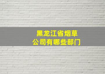 黑龙江省烟草公司有哪些部门