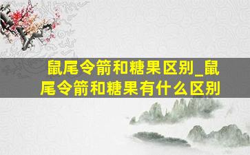 鼠尾令箭和糖果区别_鼠尾令箭和糖果有什么区别