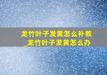 龙竹叶子发黄怎么补救_龙竹叶子发黄怎么办